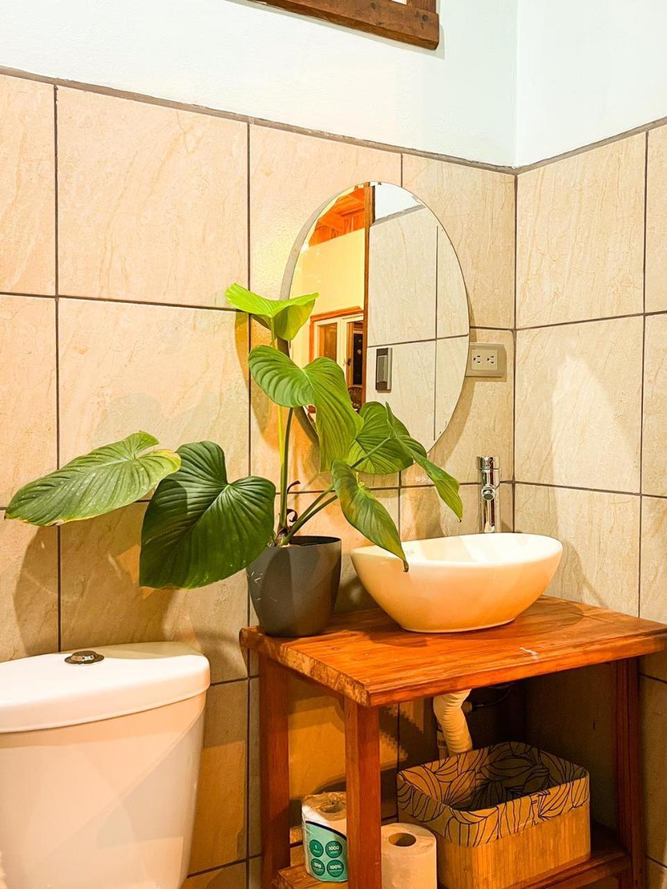 Ficus House Apartment Boca Tapada Bagian luar foto